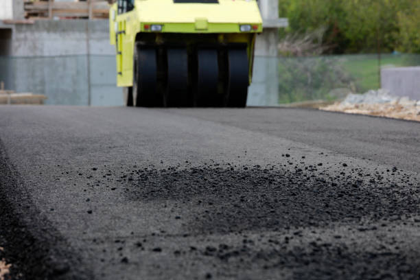 Best Interlocking Driveway Pavers  in Venice Gardens, FL